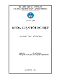 Khóa luận tốt nghiệp Đại học: Khảo sát khả năng hấp phụ Amoni của vật liệu đá ong biến tính