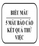 5 mẫu báo cáo kết quả thử việc