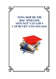 Tổng hợp đề thi học sinh giỏi môn Ngữ văn lớp 9 cấp huyện năm 2015-2016