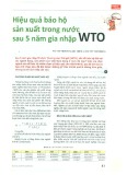 Hiệu quả bảo hộ sản xuất trong nước sau 5 năm gia nhập WTO