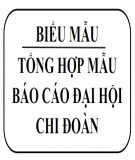 Tổng hợp mẫu báo cáo đại hội chi đoàn