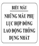 Những mẫu phụ lục hợp đồng lao động thông dụng nhất