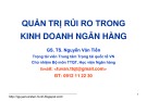 Bài giảng Quản trị rủi ro trong kinh doanh ngân hàng: Bài 1 - GS. TS. Nguyễn Văn Tiến