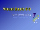 Bài giảng Visual Basic 6.0: Phần 2 - Nguyễn Đăng Quang