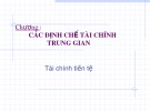 Bài giảng Tài chính tiền tệ: Các định chế tài chính trung gian