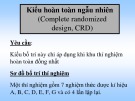 Bài giảng Phương pháp nghiên cứu cây trồng - Chương 5.1: Các kiểu thí nghiệm đơn yếu tố