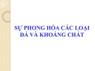 Bài giảng Khoa học đất cơ bản (Basic of Soil Science) - Chương 2: Sự hình thành đất từ mẫu chất