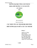 Báo cáo chuyên đề Khoa học môi trường: Các nhân tố cấu thành hệ sinh thái mối tương quan giữa các cấu thành