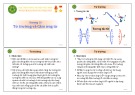 Bài giảng Chương 10: Từ trường và cảm ứng từ