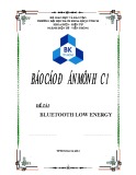 Báo cáo đồ án: Bluetooth low energy