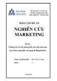 Báo cáo đề án Nghiên cứu Marketing: Những yếu tố ảnh hưởng đến mức độ thỏa mãn của khách hàng đối với mạng di động Beeline