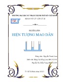 Bài tiểu luận: Hiện tượng mao dẫn