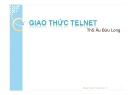 Bài giảng Mạng máy tính nâng cao - Chương 6: Giao thức Telnet