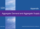 Lecture Macroeconomics (19/e) - Chapter 12 (Appendix): Aggregate demand and aggregate supply