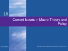 Lecture Macroeconomics (19/e) - Chapter 19: Current issues in macro theory and policy