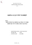 Khóa luận tốt nghiệp: Phân tích tài chính tại Công ty Trách nhiệm hữu hạn Thiết bị Y tế và Hóa chất Sao Mai