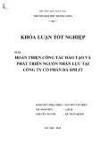 Khóa luận tốt nghiệp: Hoàn thiện công tác đào tạo và phát triển nguồn nhân lực tại Công ty Cổ phần Đá Spilit