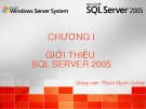Bài giảng SQL server 2005: Chương 1 - Phạm Mạnh Cương