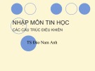 Bài giảng Nhập môn tin học: Các cấu trúc điều khiển - TS. Đào Nam Anh