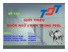 Bài thuyết trình Giới thiệu ngôn ngữ & hàm trong Perl