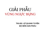 Bài giảng Giải phẫu: Giải phẫu vùng ngực bụng - ThS.BS. Lê Quang Tuyền