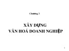 Bài giảng Văn hóa doanh nghiệp: Chương 3 - Phạm Đình Tịnh