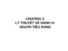 Bài giảng Kinh tế vĩ mô - Chương 3: Lý thuyết về hành vi người tiêu dùng