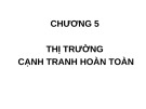 Bài giảng Kinh tế vĩ mô - Chương 5: Thị trường cạnh tranh hoàn toàn (6tr)