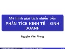 Bài giảng Toán kinh tế: Mô hình giải tích nhiều biến phân tích kinh tế - Kinh doanh - ThS. Ngô Văn Phong