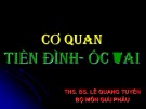 Bài giảng Cơ quan tiền đình - ốc tai - ThS.BS. Lê Quang Tuyền