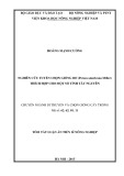 Tóm tắt Luận án Tiến sĩ Nông nghiệp: Nghiên cứu tuyển chọn giống bơ (Persea americana Miller) thích hợp cho một số tỉnh Tây Nguyên