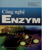  công nghệ enzym: phần 2