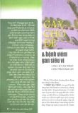 Cây chó đẻ & bệnh viêm gan siêu vi