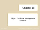 Lecture Database design, application development and administration - Chapter 18: Object database management systems