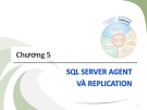 Bài giảng Kiến trúc cài đặt cơ sở dữ liệu - Chương 5 (phần 1): SQL server agent và replication