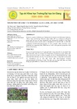 Thành phần hóa học cây Borreria alata (AUBL.) DC (Họ cà phê)