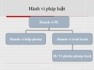 Bài giảng Pháp luật đại cương - Bài 6: Vi phạm pháp luật