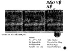 Bảo vệ cao tần và vô tuyến