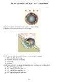 Đề ôn tập Phôi thai học - Y14 - Y khoa Hội