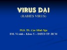 Bài giảng Virus dại - PGS.TS. Cao Minh Nga