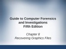Guide to Computer forensics and investigations - Chapter 8: Recovering graphics files