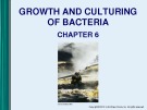 Lecture Microbiology - Chapter 6: Growth and culturing of bacteria