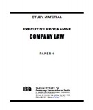  company law executive: part 1