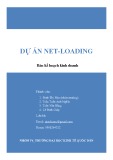 Bản kế hoạch kinh doanh: Dự án Net-Loading