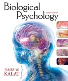  biological psychology: part 2