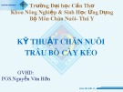 Bài Thuyết trình Chăn nuôi Thú y: Kỹ thuật chăn nuôi trâu bò cày kéo