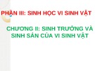 Bài giảng Sinh học 10 phần 3 chương 2 bài 25 : Sinh trưởng và sinh sản của vi sinh vật