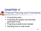 Lecture Fundamentals of financial management - Chapter 17: Financial planning and forecasting
