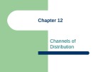 Lecture International marketing: Strategy and theory - Chapter 12: Channels of distribution