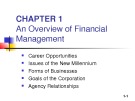 Lecture Fundamentals of financial management - Chapter 1: An overview of financial management